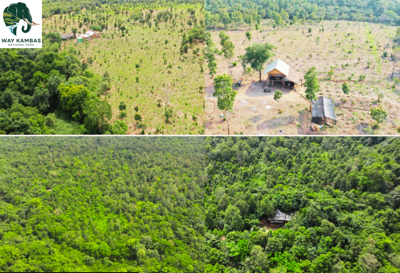 Habitat Restoration​