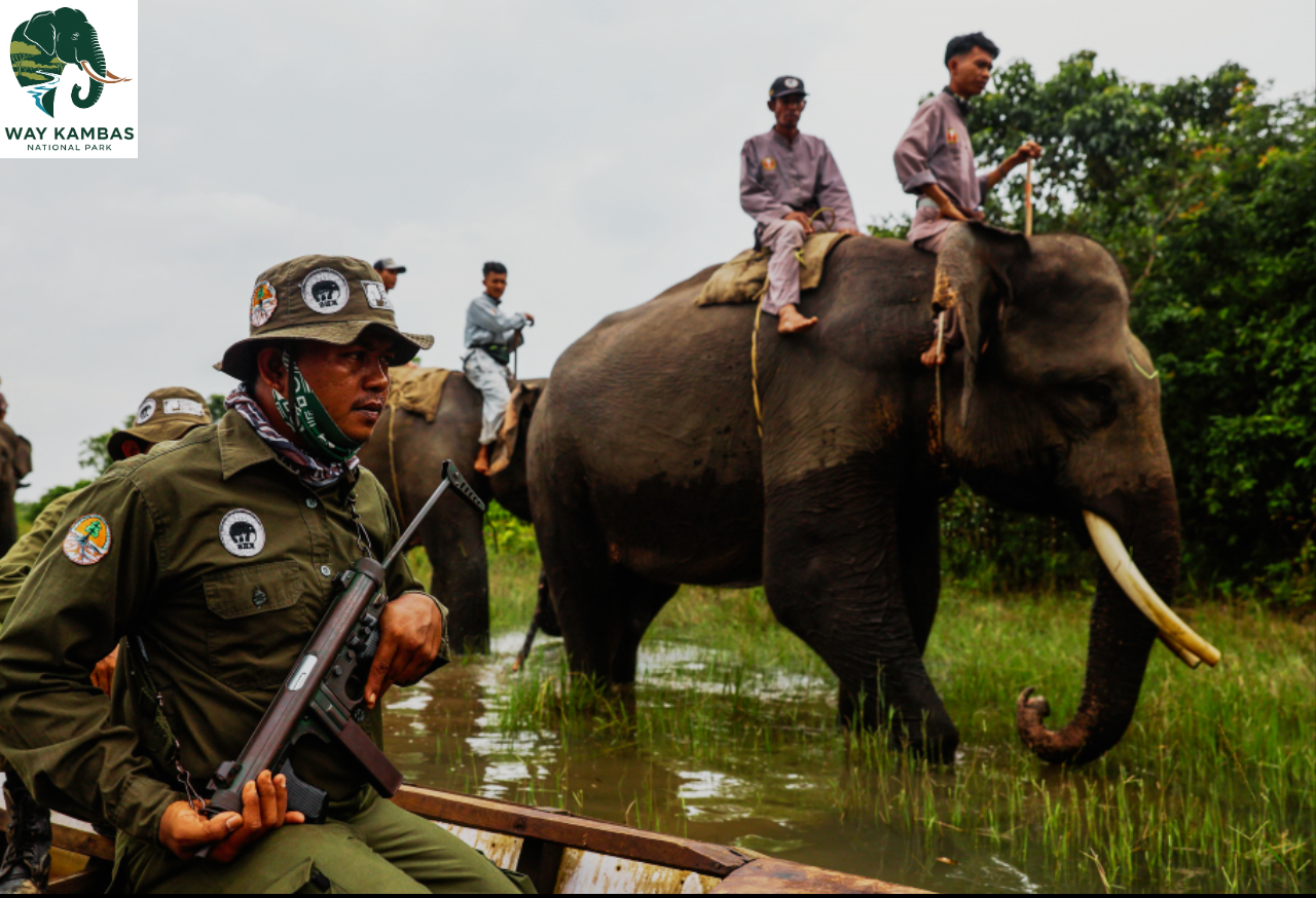 Patroli - Way Kambas