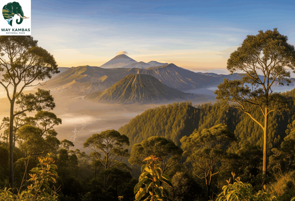 Taman Nasional Indonesia